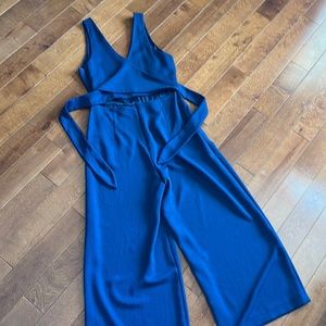 Aritzia Wilfred Ecoulement Jumpsuit Navy size 10